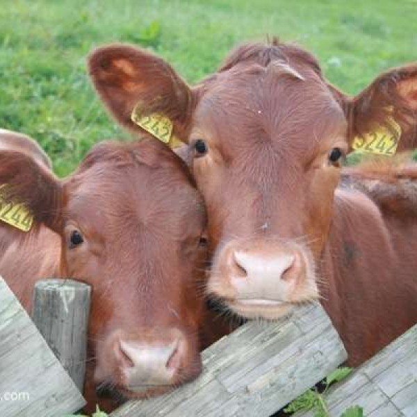 Agri Specialists NZ Ltd